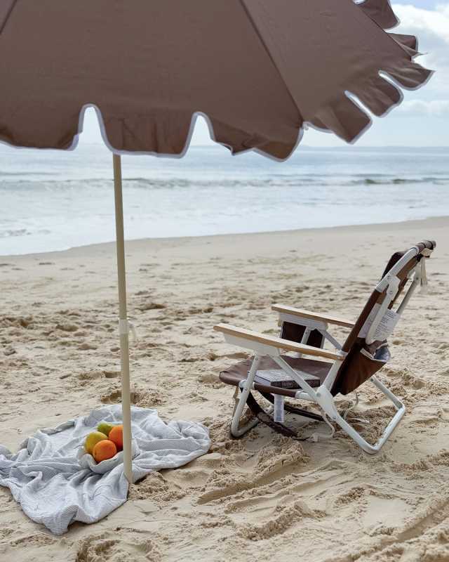 Deluxe Beach Chair